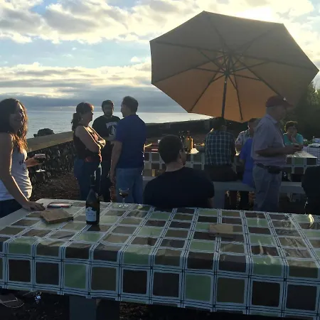 فندق مبيت وإفطار Vivenda Da Saudade 4*