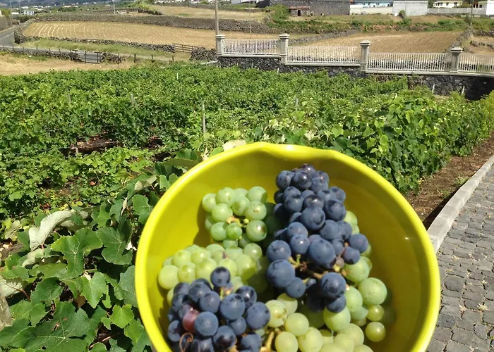 Bed and Breakfast Vivenda Da Saudade Angra do Heroísmo