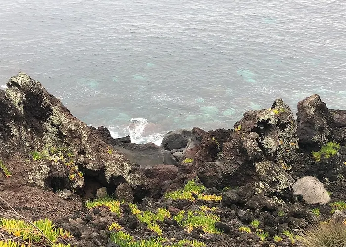 Vivenda Da Saudade 4* Angra do Heroísmo