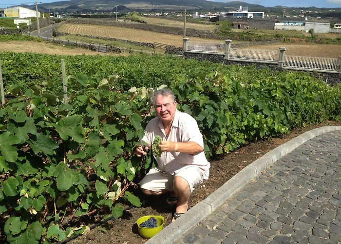 Vivenda Da Saudade 住宿加早餐酒店 4*